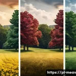 항염증 식단을 위한 주말 요리 아이디어 - Here are three detailed image prompts in English, designed to generate images based on the provided ...